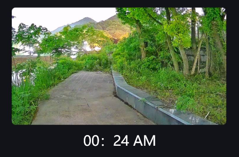 Vederea în întuneric: un ghid simplu pentru camerele cu lumină neagră de securitate cu vedere nocturnă